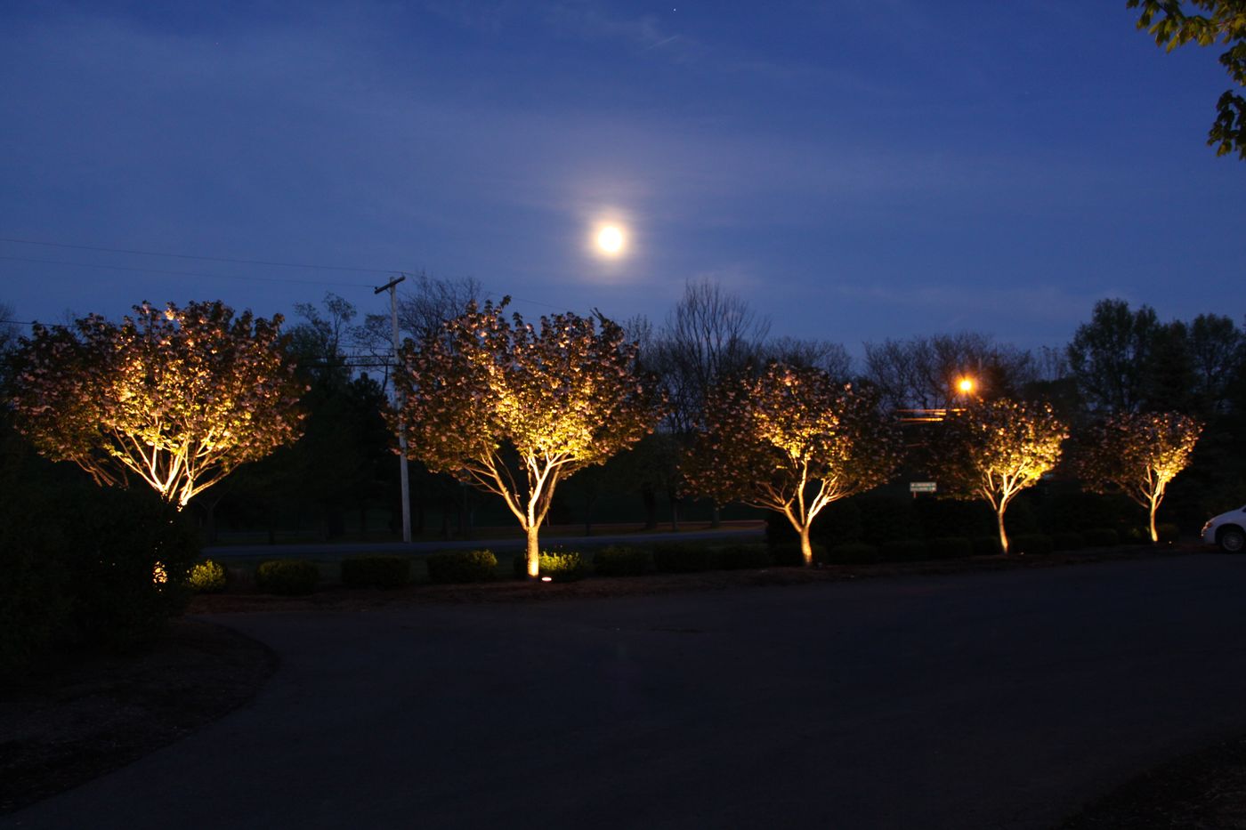 Architectural landscape lighting at night
