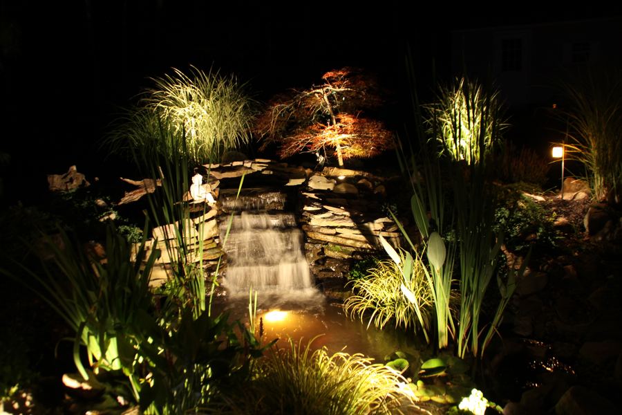 Garden, patio, and tree illumination